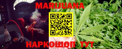 сатива Малгобек