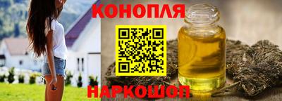 сатива Малгобек