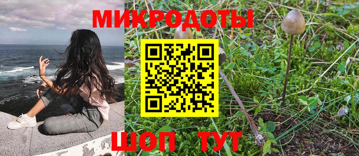 Галлюциногенные грибы Cubensis Тольятти